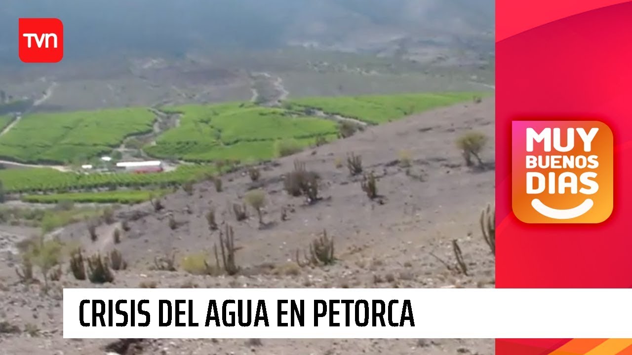 Guerra del agua en Petorca: ¿Por qué solo algunos tienen agua? | Muy buenos días