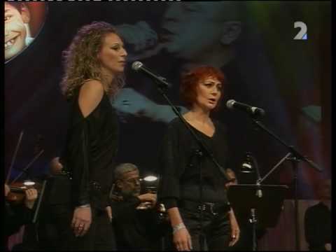 Petr Muk - Stín katedrál (Stromček prianí 28.12.2008)