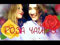 Филипп Киркоров & Маша Распутина | Роза чайная | ПАРОДИЯ | 