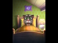 [My Talking Tom] Timmy singing Honeysuckle Lazy by Rascal Flatts