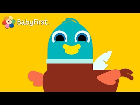 Six Little Ducks with Lyrics | Music Videos | BabyFirst TV