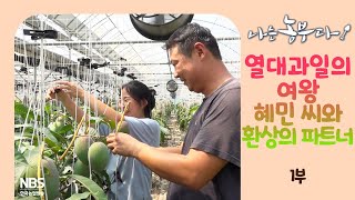 [나는농부다 263회 1부] 열대과일의 여왕 혜민 씨와 환상의 파트너