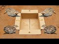 Easy Underground Quail Trap Using Cardboard Box Simple Quick Bird Trap