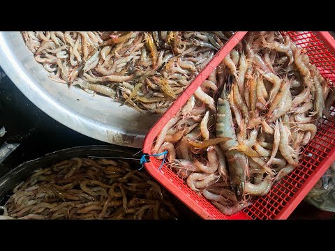 EP235:PART1-MARAMING HIPON SUMABANG SA ILOG HULI SA BAKLAD AT BUKATOT