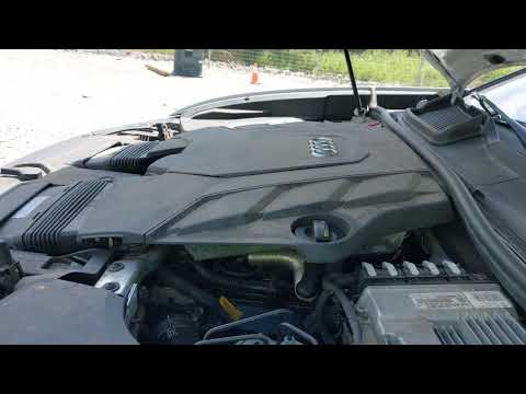 Audi Q8, Внедорожник / Кроссовер