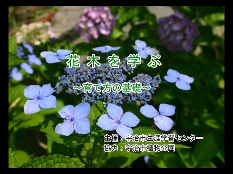 仏教学科 花木を学ぶ　～育て方の基礎～