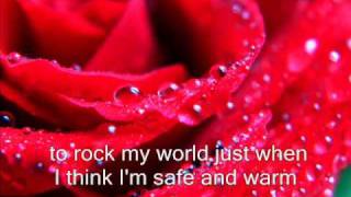 flower in the rain by Jaci Velasquez