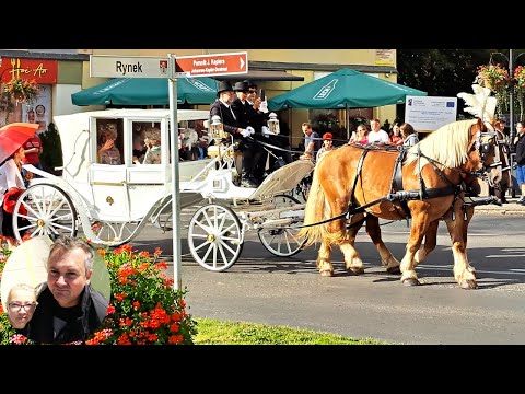 Kareta i pyszny chleb Gruziński w Żaganiu. Jarmark Michała - Żagań 2023.