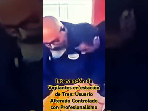 Intervención de Vigilantes en en estación de Tren: Usuario Alterado Controlado con Profesionalismo.
