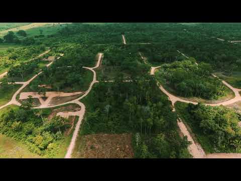 img-video