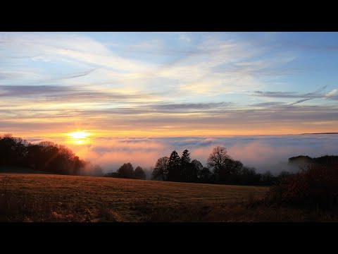 „Az ember múlhatatlan ezen a földön, addig él, míg valaki emlékezik rá.” (Szabó Magda)