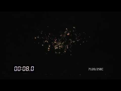 7120/25EC Cake Ø25mm 25s F-shape 20sec H25m  "Crazy zoo"