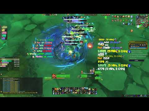 Fortified Plaguefall 21 PUG BM Hunter POV