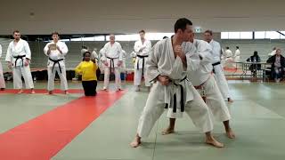 stage bunkai pierre brunet
