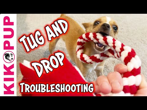 What is Clicker Training