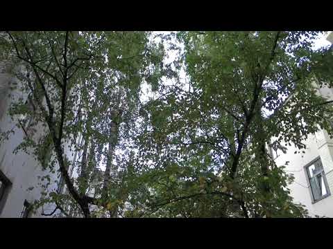 Ar mani atkal runā kaijas