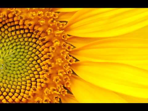 Yuri Kane - Right Back (Del Sol Intro Edit)