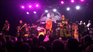 The Color Morale - Suicide Stigma (feat. Dave Stephens) Live