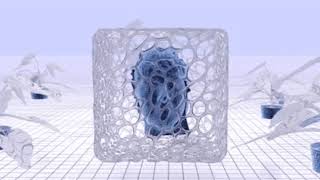 Big Wreck - &quot;The Arborist&quot;