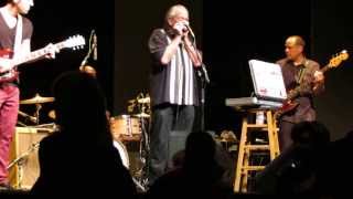 Long Leg Woman - Charlie Musselwhite Live @ The Raven Healdsburg, CA 2-14-13