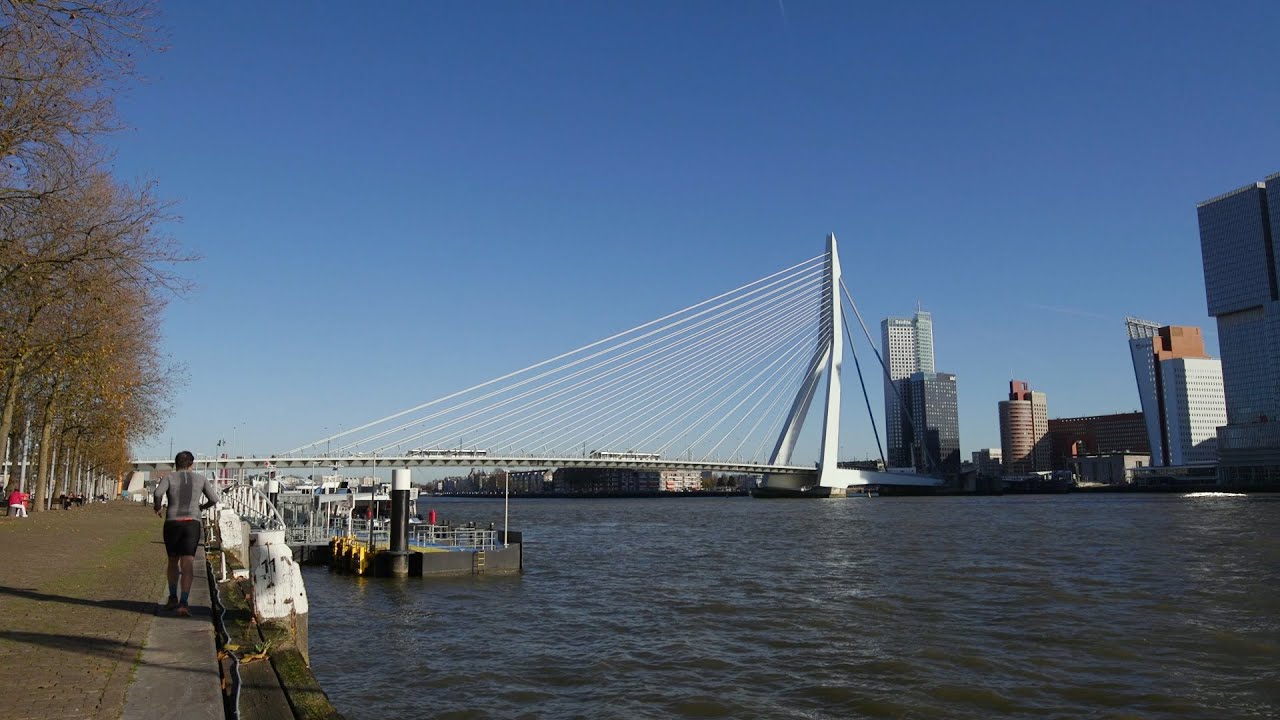 Erasmusbrug thumbnail