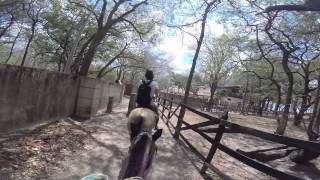 preview picture of video 'Horse Riding Mango Rosa to Beach - Nicaragura - 21st March 2014'