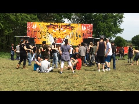 Free party à Pannece