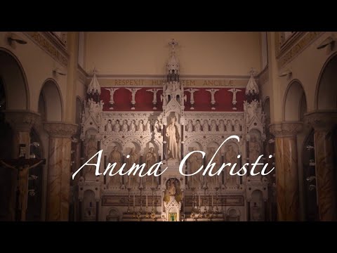 Anima Christi (Marco Frisina) - Sophie Clarke 