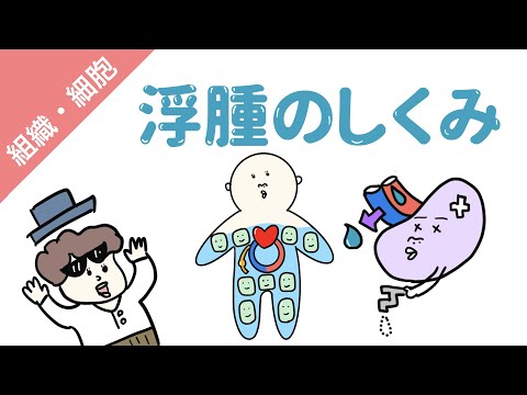 炎症:その正体、種類、症状、原因、治療法