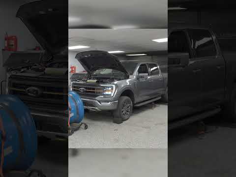 Tremor F150 Whipple on E85 - DYNO RESULTS! #palmbeachdyno #whipplesupercharged #f150