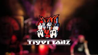 Tigertailz - Punched In The Gutz Promo