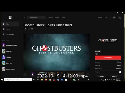 Video preview
