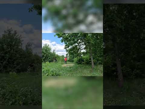 фото расчистка участков от травы, кустов, деревьев любых размеров 0