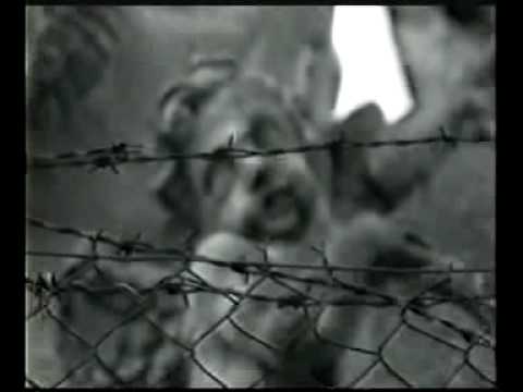 Jiri Suchy + Ivan Kral song