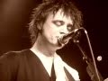 Peter Doherty - Beg, steal or borrow (acoustic) 