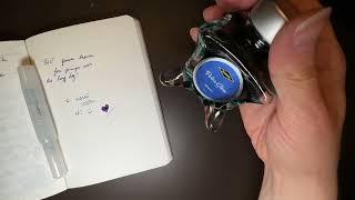 I only used 1 pen and 1 ink for a whole MONTH!