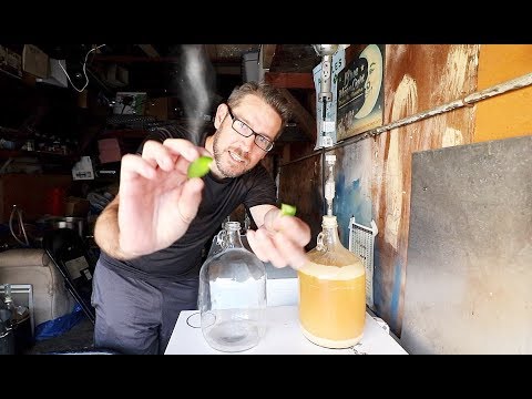 download lagu mp3 mp4 Jalapeno Cream Ale Recipe, download lagu Jalapeno Cream Ale Recipe gratis, unduh video klip Jalapeno Cream Ale Recipe