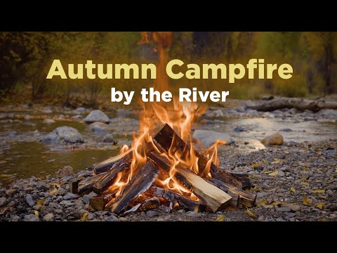 Live: Peaceful Autumn River Campfire | Crackling Fire & Calming Sounds