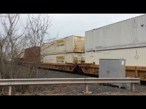 NS 8418 leads 20W (B&A)