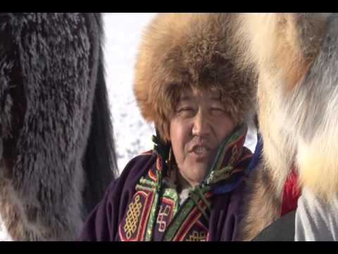 Shinediin sarnii uyanga Шинэдийн сарны уянга