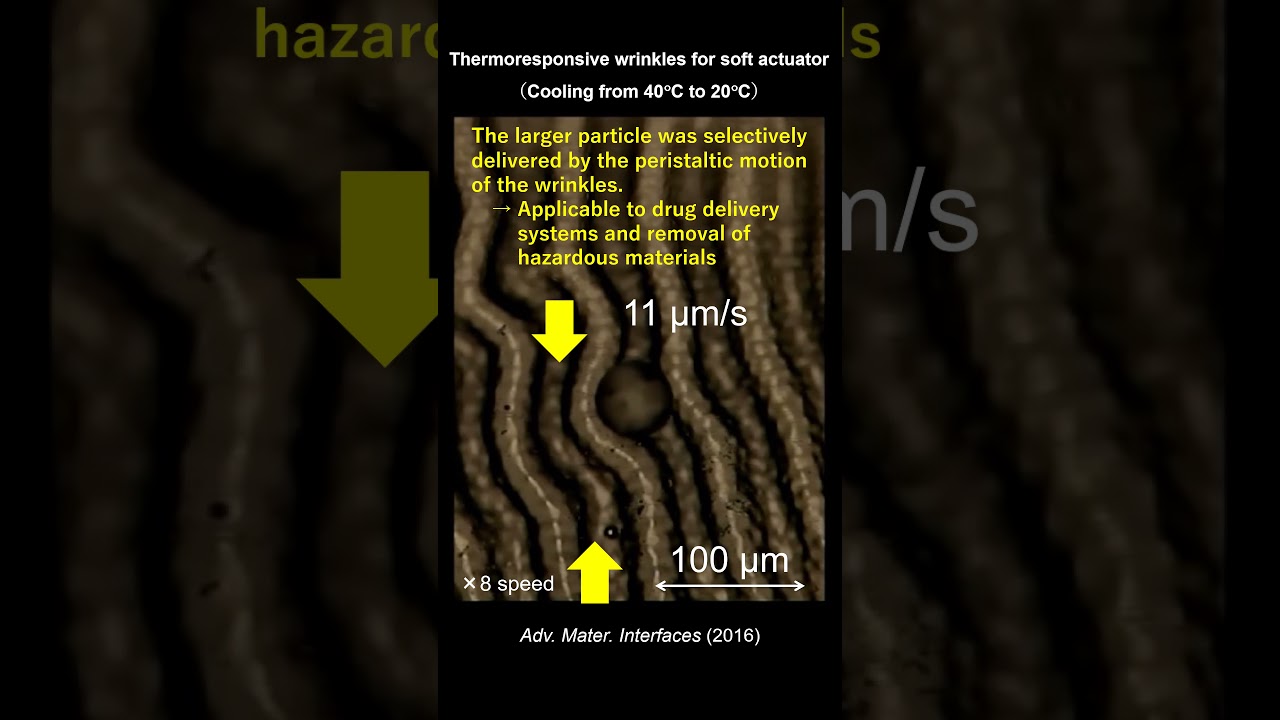 Thermoresponsive Soft Actuator #shorts