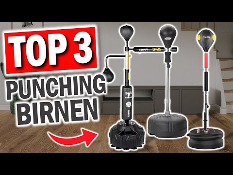 Top 3 BOX BIRNEN im Vergleich | Top 3 Stand Boxbirnen