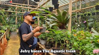 #320 Nyari tanaman Langsung ke pabriknya,Jefry TAF & Pakne kenzho mau bikin apa ini disemarang?