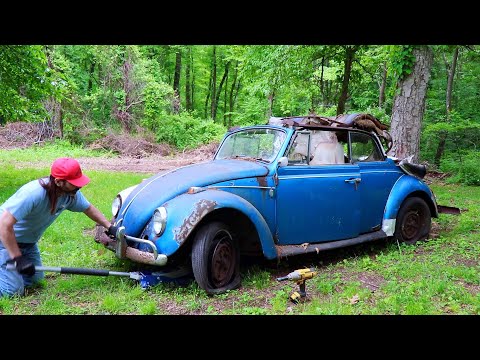 Abandoned Car | Sitting for Years in the Woods | 1967 Vw Beetle Rescue