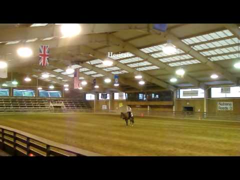 Lensman Reining - CQHA July 2009