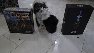 Hungry Gamer - The City of Kings video thumbnail