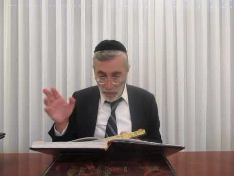 הרב יהושע ביבי - תשפ"ו - שער המצוות - שיעור מס' 068 - סתירות בע''ח האם הגבורות התפשטו בגופא דז''א