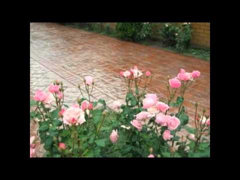 Beton Amprentat Rieni Tel.0761350488 Bihor,Austria,Ungaria,Serbia