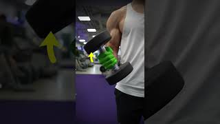 Dumbbell Bicep Curl Variations (KNOW THE DIFFERENCE!)
