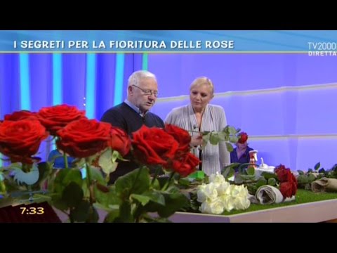 Come liberarsi da vermi in un giorno di video Parassita dei pesci di una bocca